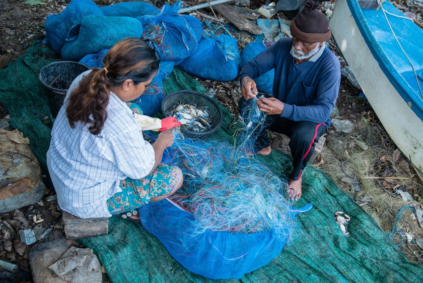 Surat Thani, Thailand: Fisherman, Sutham Hemmanee, right, sorts adult male blue swimming crabs from berried females and juveniles. The latter will be returned to the sea to protect crab stocks. 