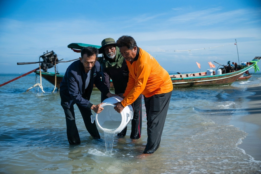 Three men pour a bucket full of crabs into the sea.